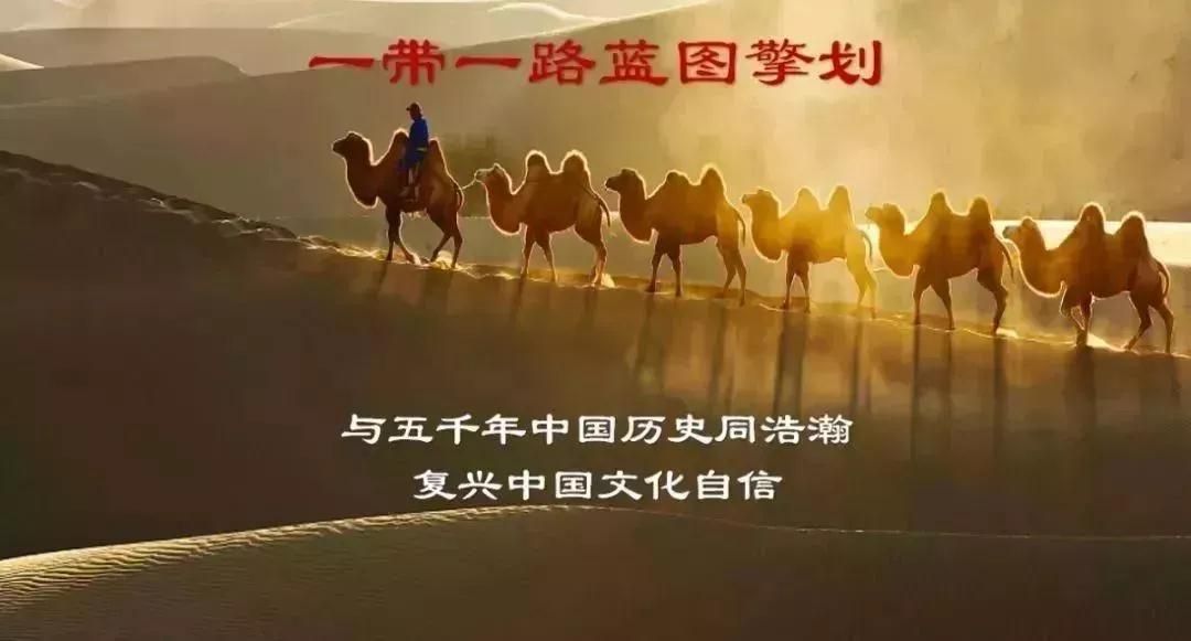 绝对100，追求卓越的极致之旅