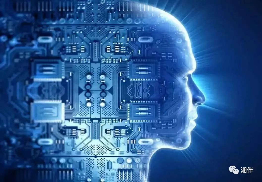 2036年澳门今晚必开一肖预测，理性与科学的结合