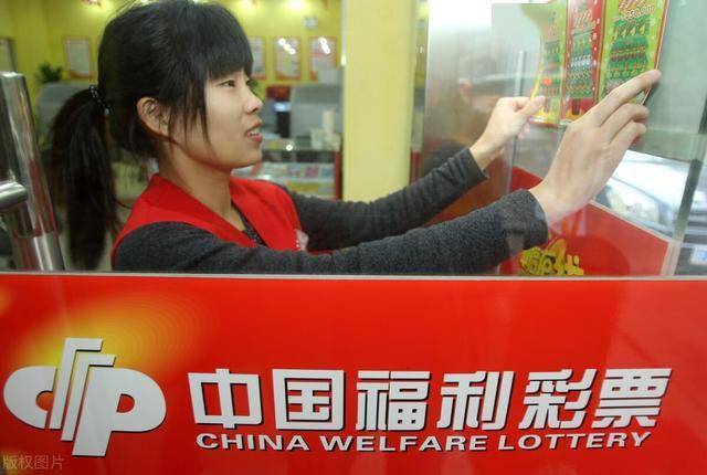 现场报码，重塑彩票购彩体验的革新之举
