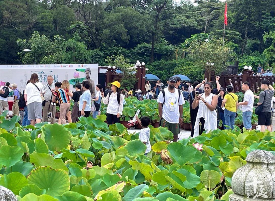 探索香港现场开码，一场融合传统与现代的文化盛宴