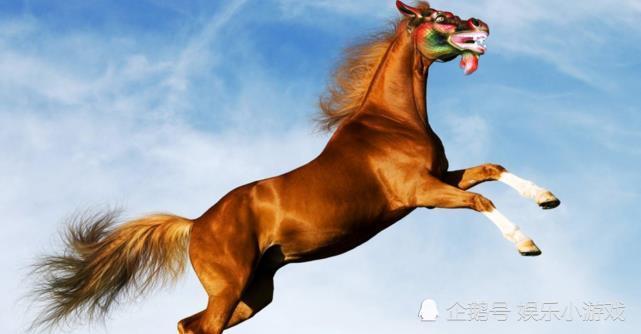 今日特马揭晓，探寻幸运的奥秘
