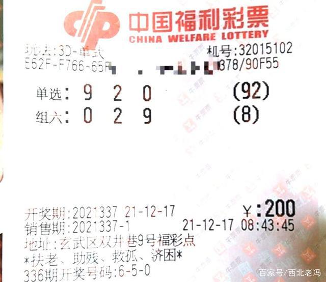 揭秘王中一肖背后的真相，理性看待彩票与人生选择