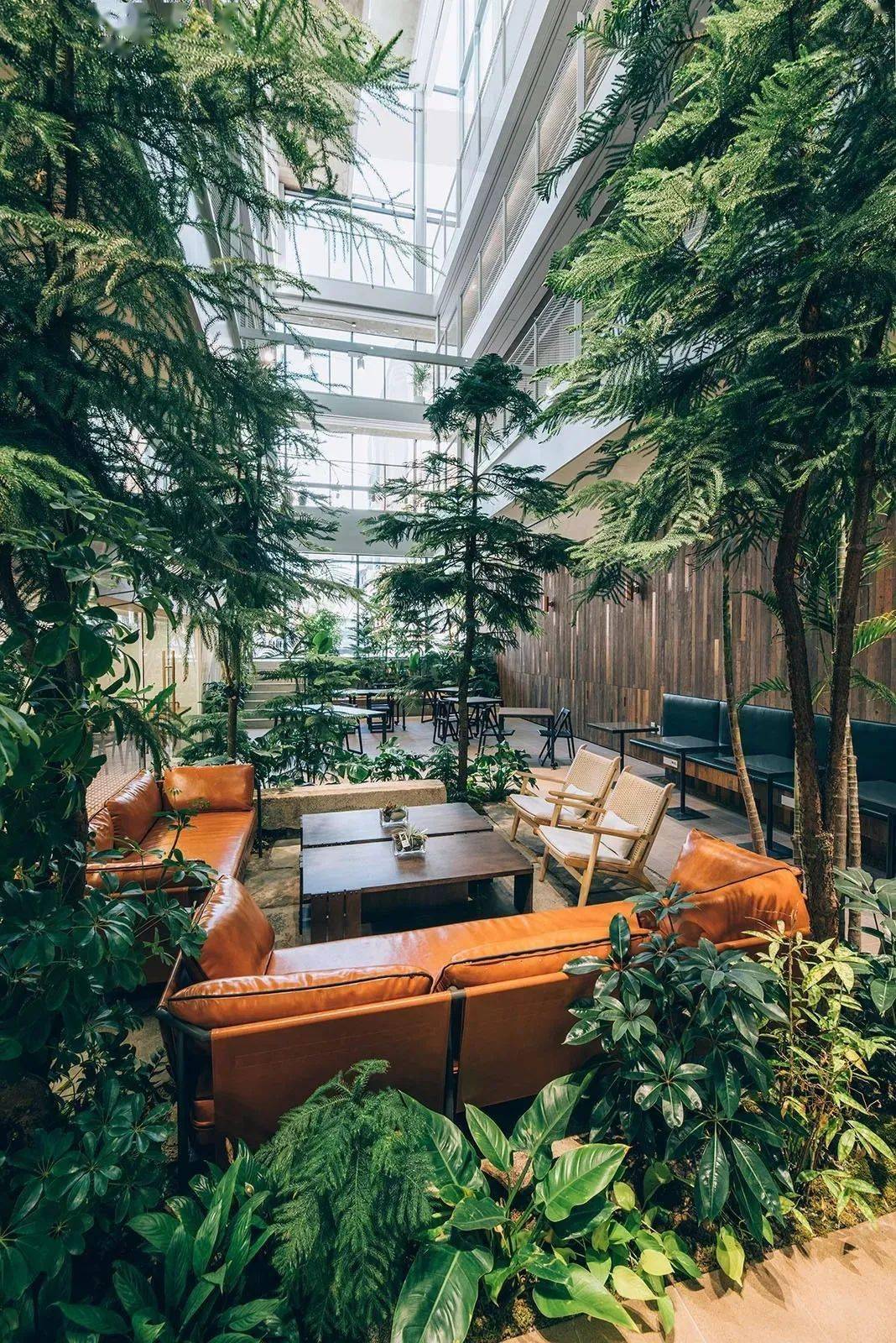 芳草地心水论坛，网络社区的绿色乌托邦
