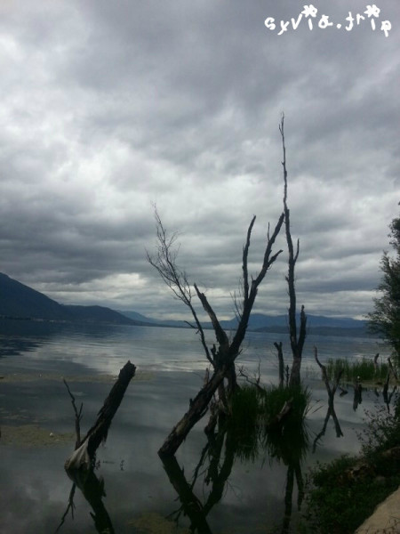 天下釆彩，与你同行的精彩旅程