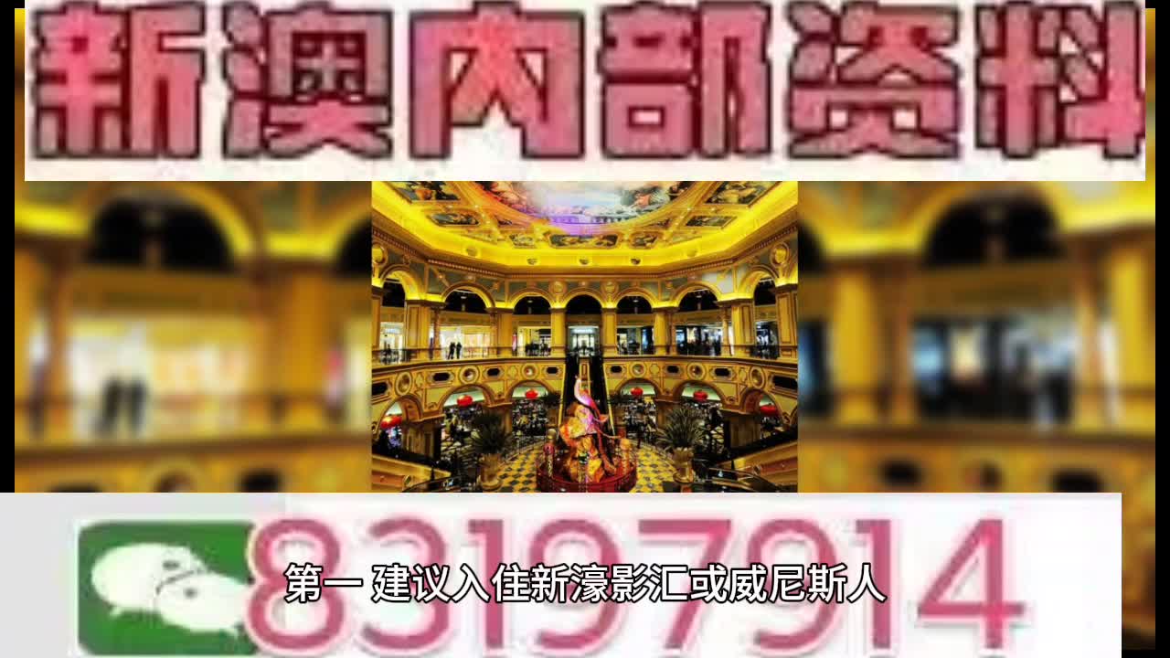 2036澳门特马今晚开奖，三月一日的幸运之夜