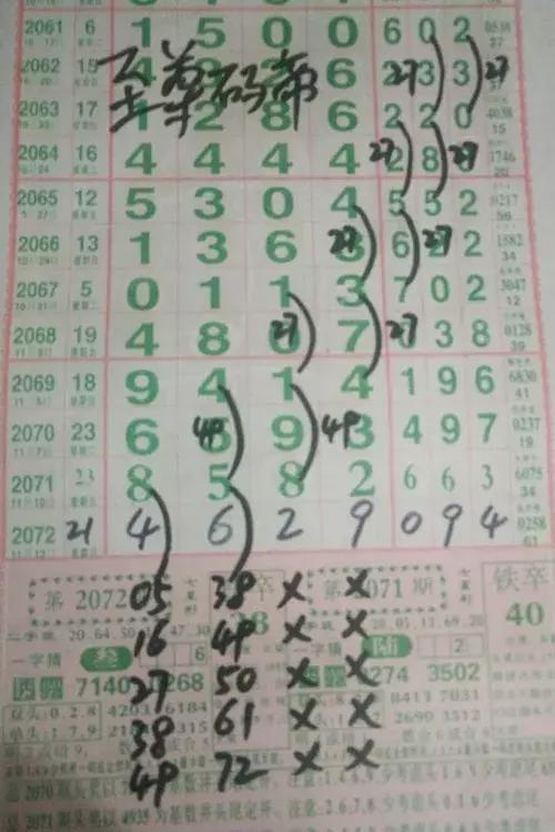 七星彩南海论坛，数字背后的智慧与乐趣