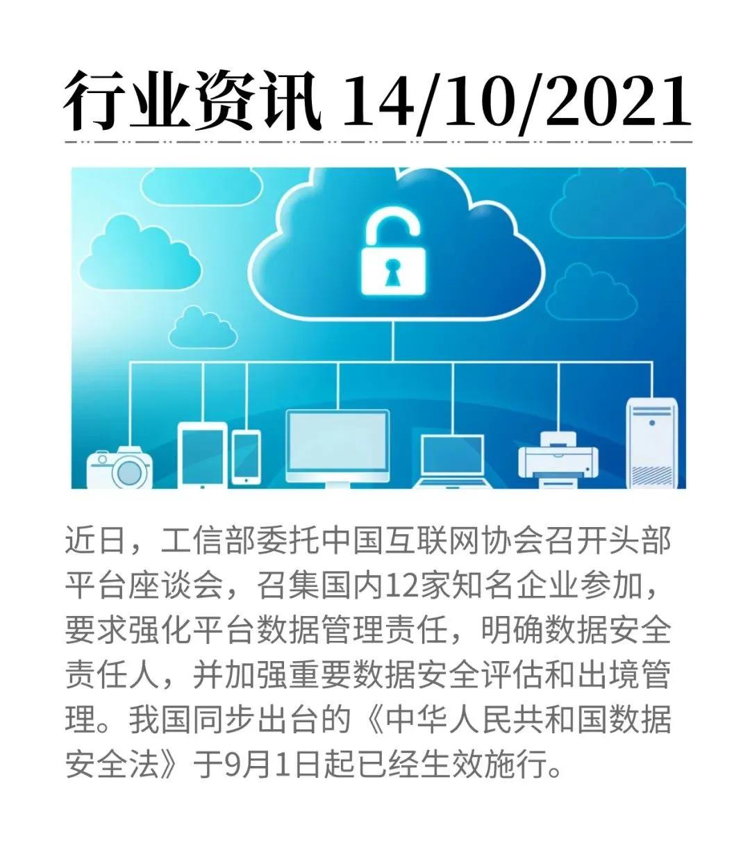 2031年香港最新开奖结果，透视数字背后的社会与经济影响
