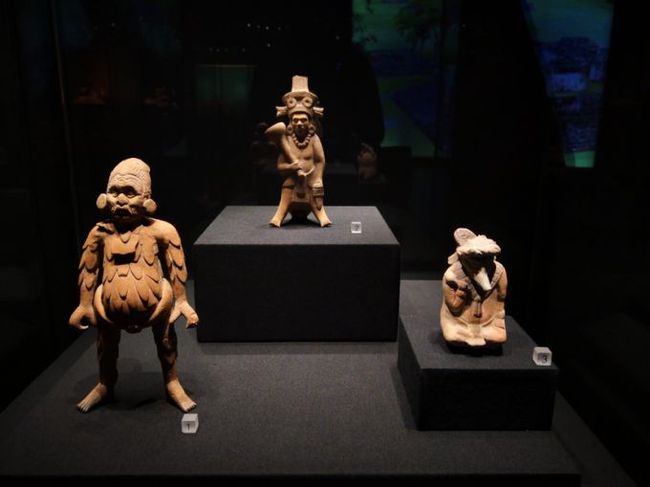 玛雅论坛最新动态，探索古代文明智慧的现代回响