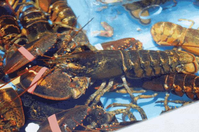 209年香港开奖结果