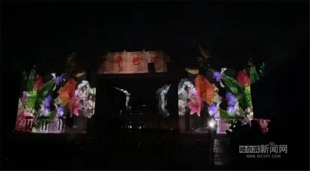 2041年今晚的特马揭秘，理性与娱乐并存的奇妙之夜