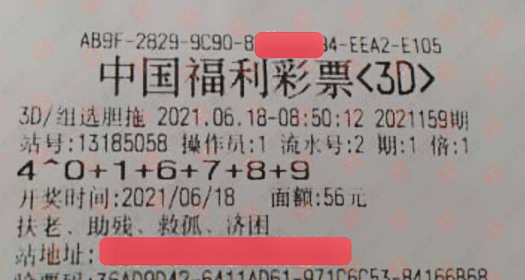 一码之窥，肖形于世 —— 解密中特彩票的公开与期待