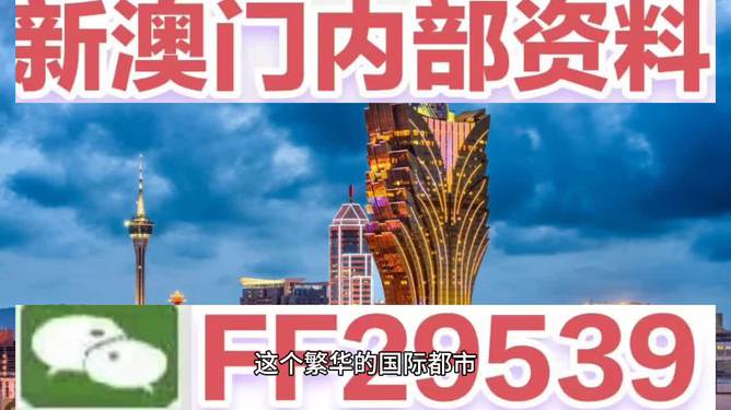 澳门特马，204年53期今晚开奖的神秘与期待