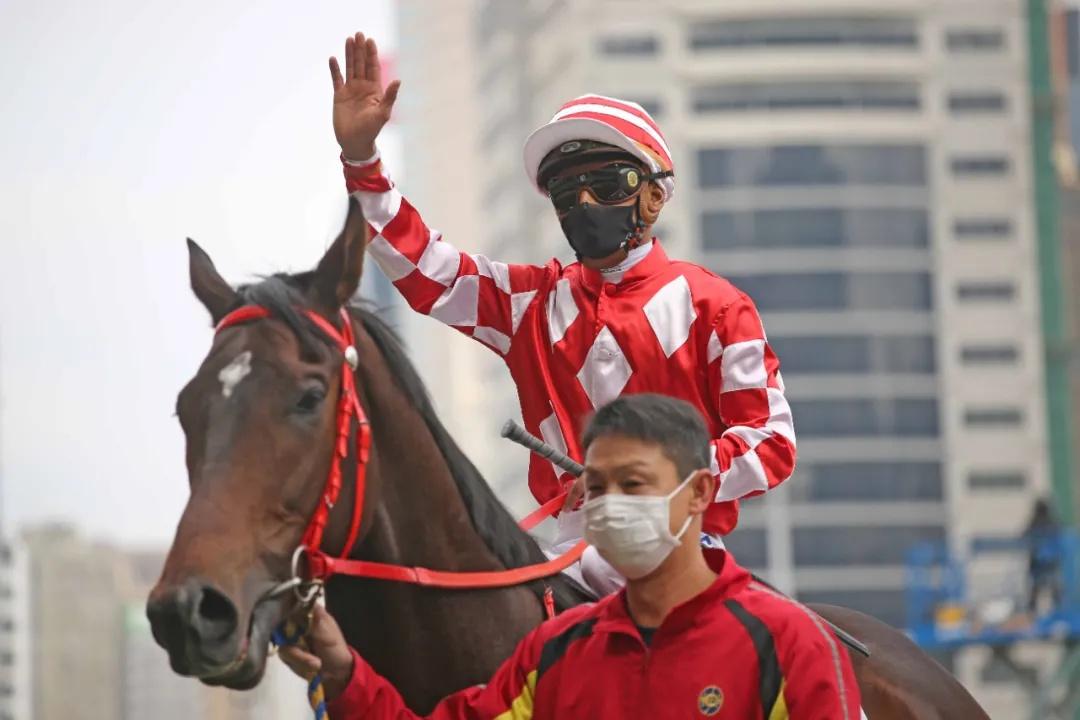 探索香港马赛，全面解析与资料大全