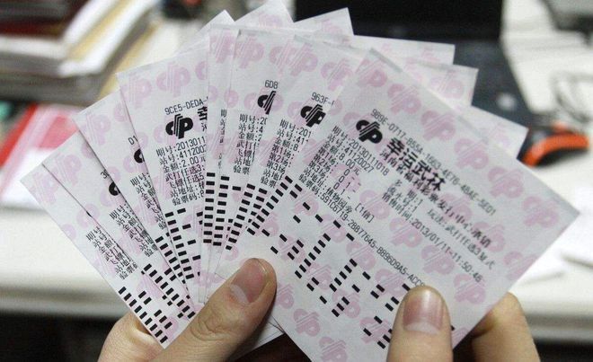肖彩经，揭秘生肖与彩票的神秘联系