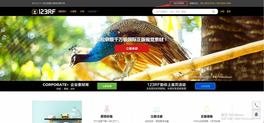 免费资源新宠，探索123RF的无限创意，尽在‘图’中——揭秘
