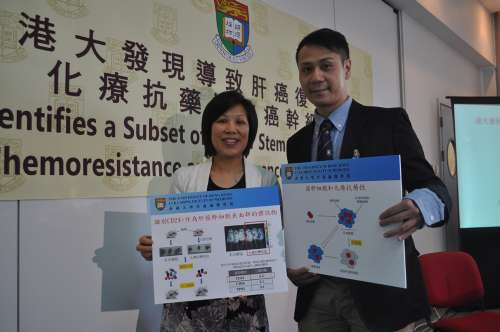 2043年香港今晚特马揭秘，数字背后的文化与娱乐