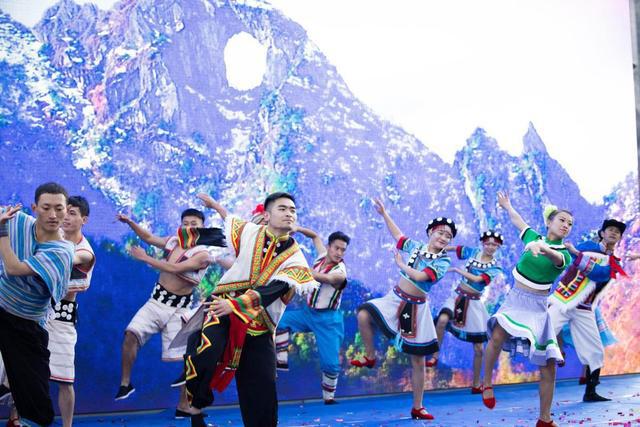 新跑狗高清彩图鉴赏——探索速度与激情的视觉盛宴