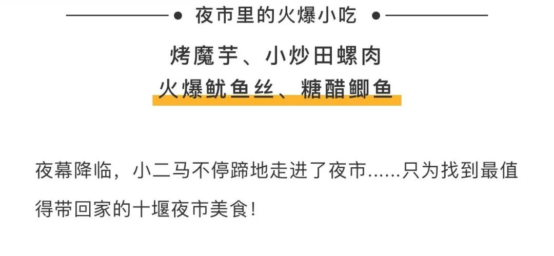 2019年今晚特马揭秘，理性与娱乐的平衡
