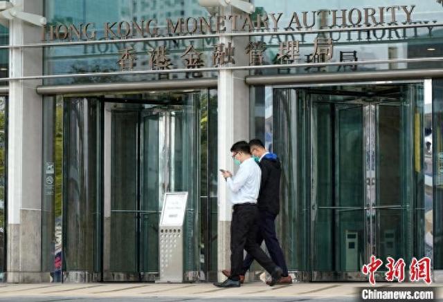 探索香港金多宝，资料大全全网指南