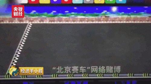 2019年香港马现场开奖结果，一场精彩绝伦的赛场盛宴