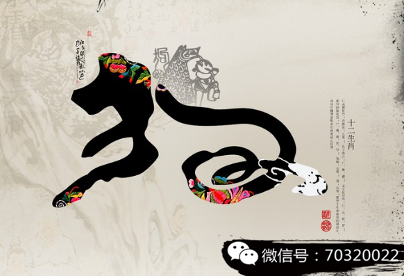 探秘子虚乌有，揭露生肖背后的神秘面纱