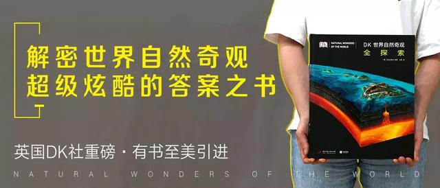 新澳门资料 第39页