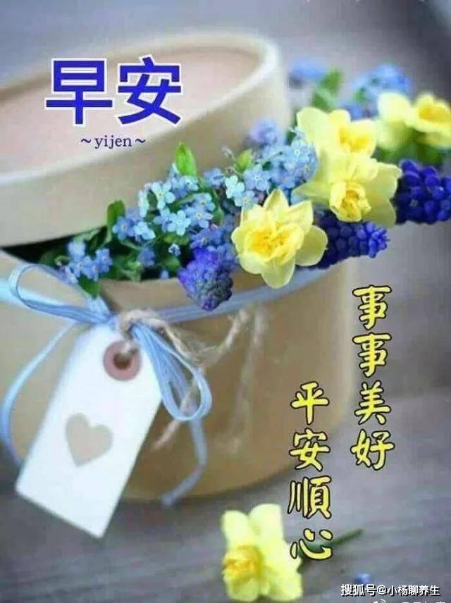 澳门新管家婆，一句话，尽显智慧与温情