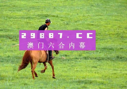 澳门资料新解，正版免费公开的背后与意义