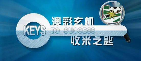 49图库澳门资料大全，揭秘澳彩资讯的真相与风险警示