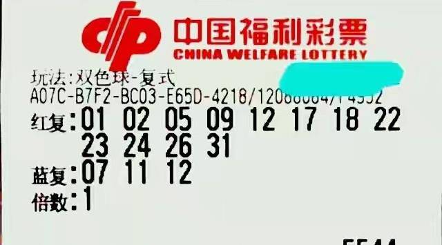 2035年澳门天天彩，数字背后的幸运与期待
