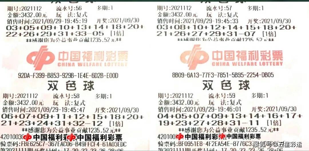澳门新春彩梦，2049年开奖记录的展望与回顾