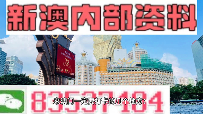 2046新澳正版免费资料，解锁知识海洋的全新钥匙