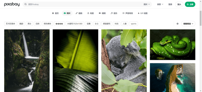 49,085张免费资源，探索图库大全的无限可能