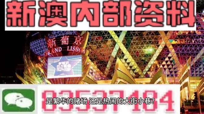 2048年新澳门王中王的传奇与未来展望