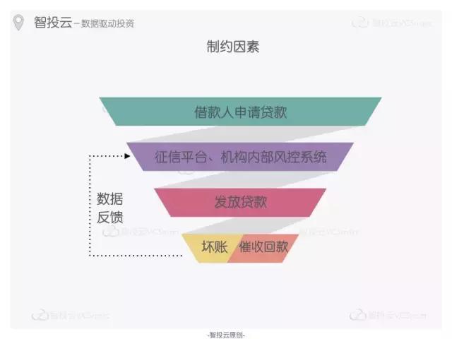钱多多心水论坛，投资者的智慧宝库与风险导航站