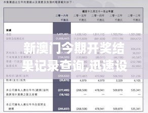 2043年新澳彩开奖结果历史记录查询，透明、安全与公正的未来