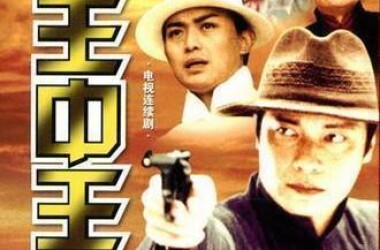 2046，新澳门王中王的传奇揭秘
