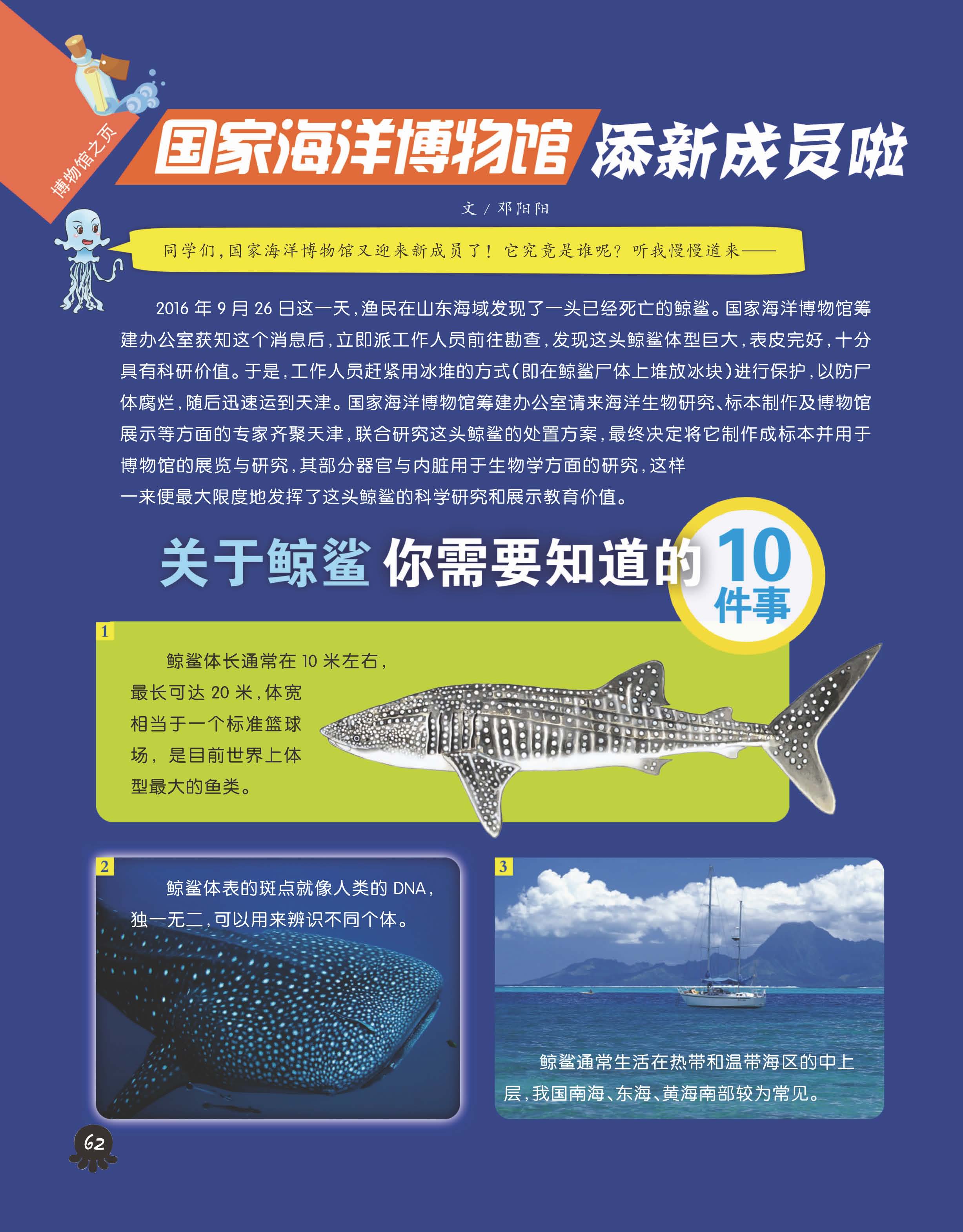 探索知识海洋，正版免费资料大全943的魅力与价值