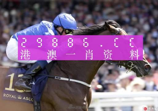 澳门一肖必中，揭秘背后的数字与概率
