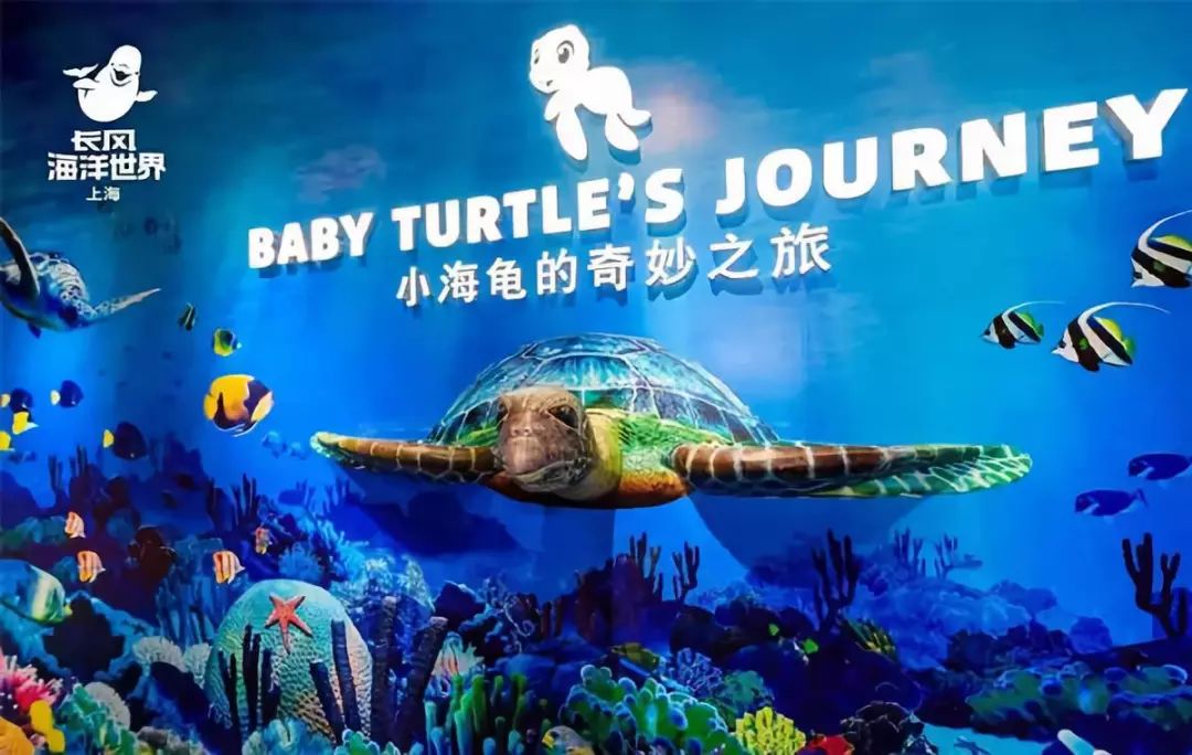 知识探索