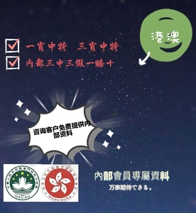 揭秘四肖选一中的中特之道—深度解析与实战策略