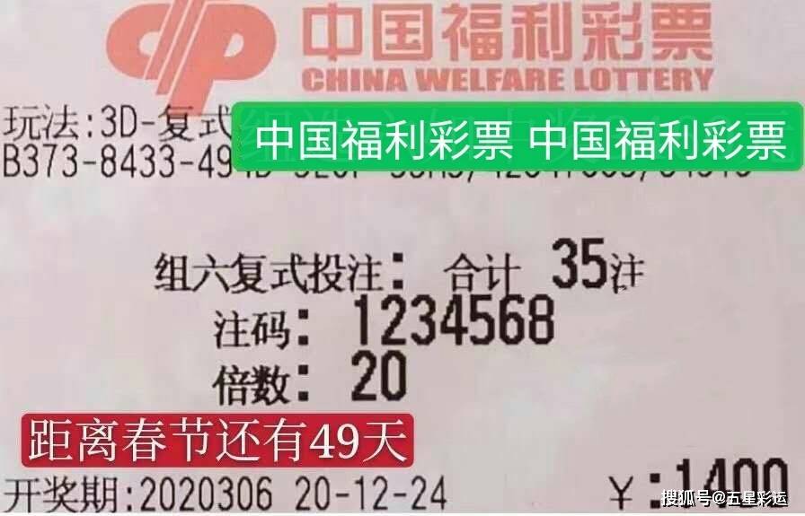 今晚新澳门必中一肖，揭秘彩票背后的真相与理性思考