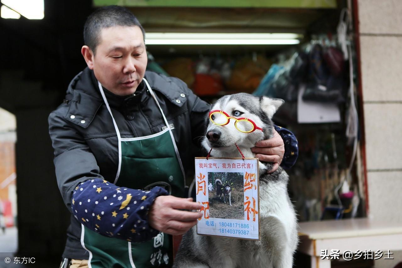 揭秘四肖选一中的中特之道—深度解析与策略分享