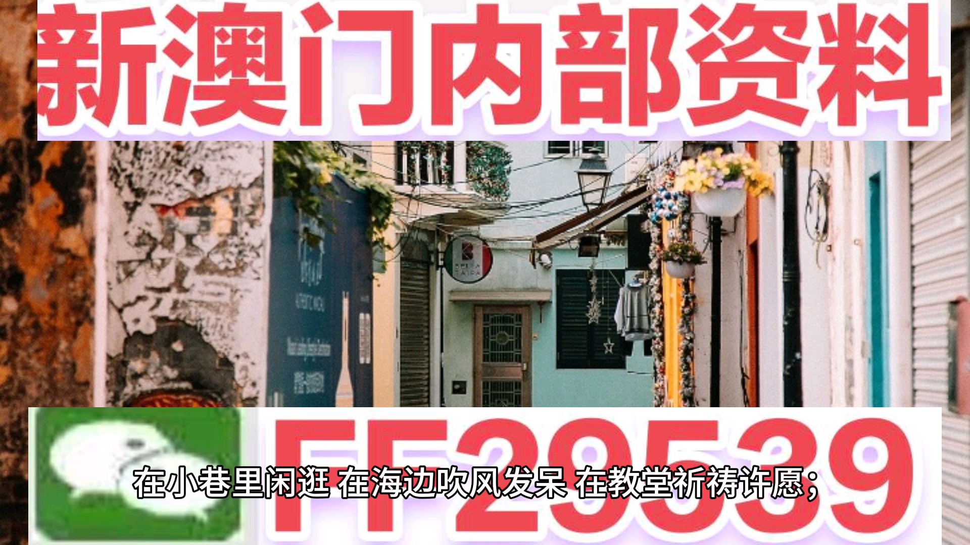 今晚必中一码一肖澳门