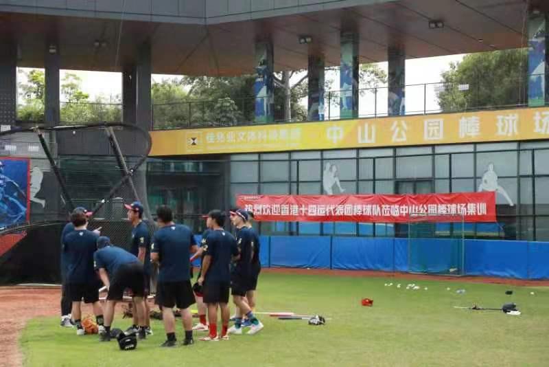 2019年香港马内部免费资料，揭秘赛前准备与策略分析