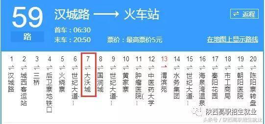 澳门三肖二码精准预测，揭秘背后的数字游戏与概率学