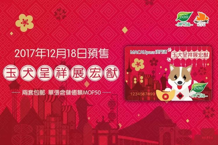 澳门六开彩，生肖卡与幸运的奇妙邃缘
