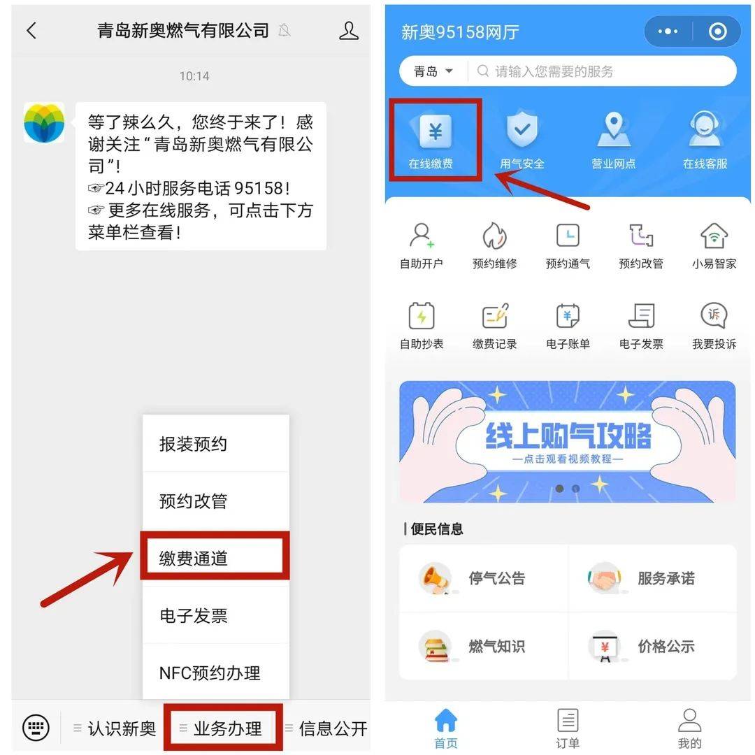 免费下载204年新澳资料大全，正版资料的权威指南