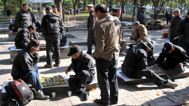 2046澳门天天开好彩大全，揭秘彩票背后的奥秘与策略