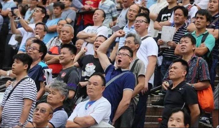 揭秘香港马会，全年资料大全的深度剖析